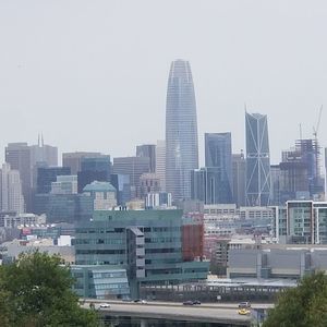 Meet your Posher, Leo